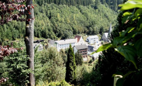 Gasthof Rodachtal mit Gästehaus Katharina Schwarzenbach Am Wald